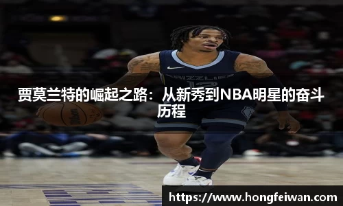 南宫NG28